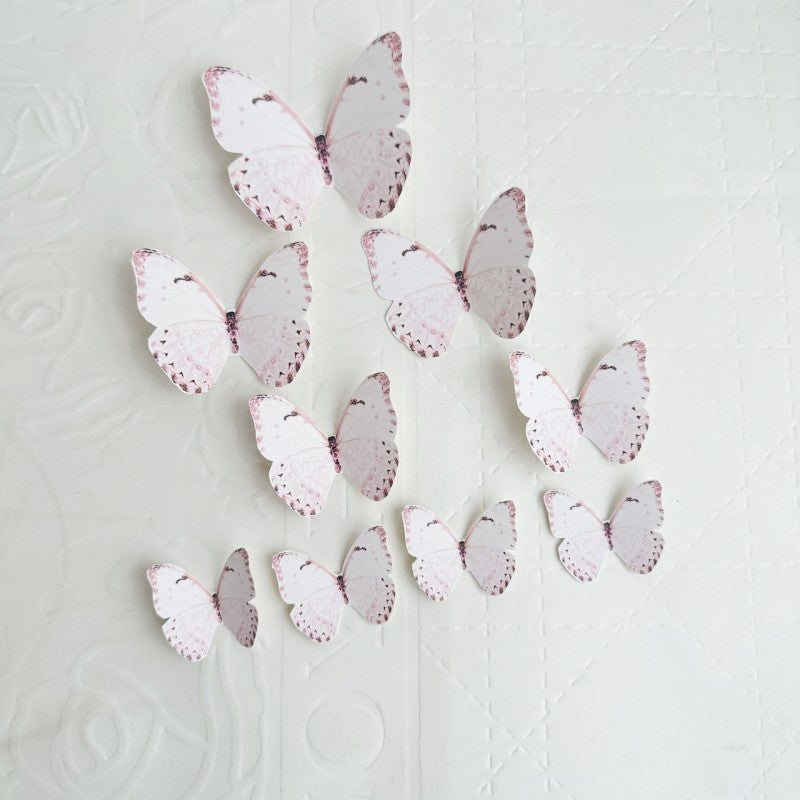 Butterfly Cake Mold Decorating